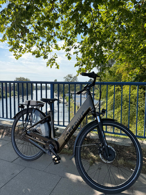 Freebike Melrose 1.2 E-Bike